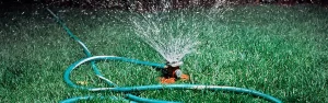 Sprinkler Installation